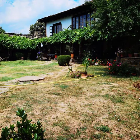 Casa de hóspedes Guesthouse Peyna
