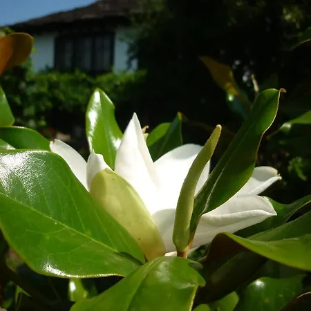 Guesthouse Peyna Maison d'hôtes